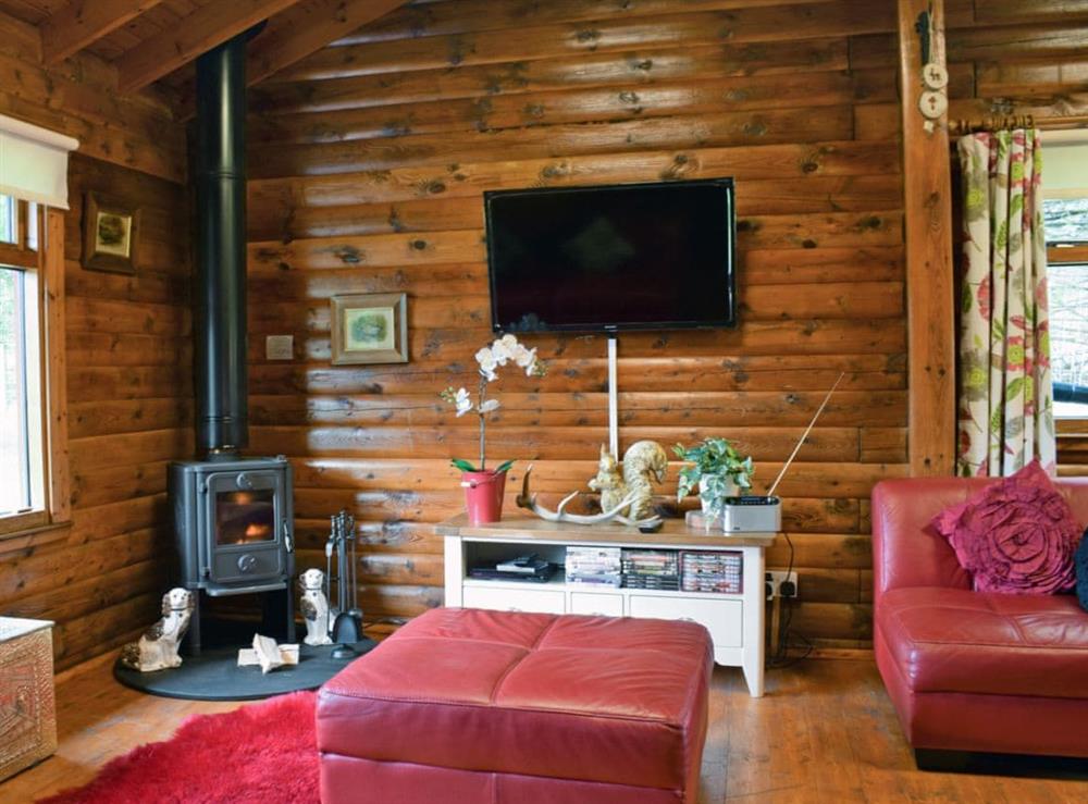Cosy living area with wood burner at Forest View in Strathyre, near Callendar, Perthshire