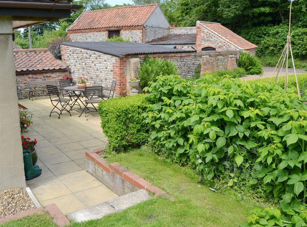 Garden at Forge Cottage in Norwich, Norfolk
