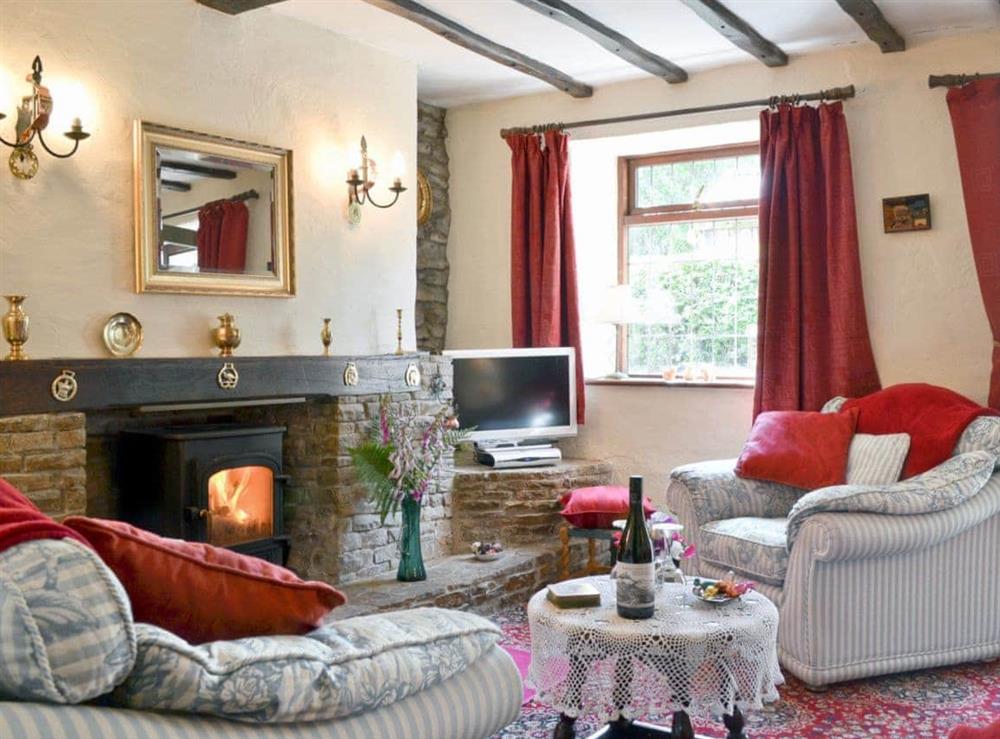 Living room at Forget-me-not Cottage in New Radnor, near Hay-on-Wye, Powys