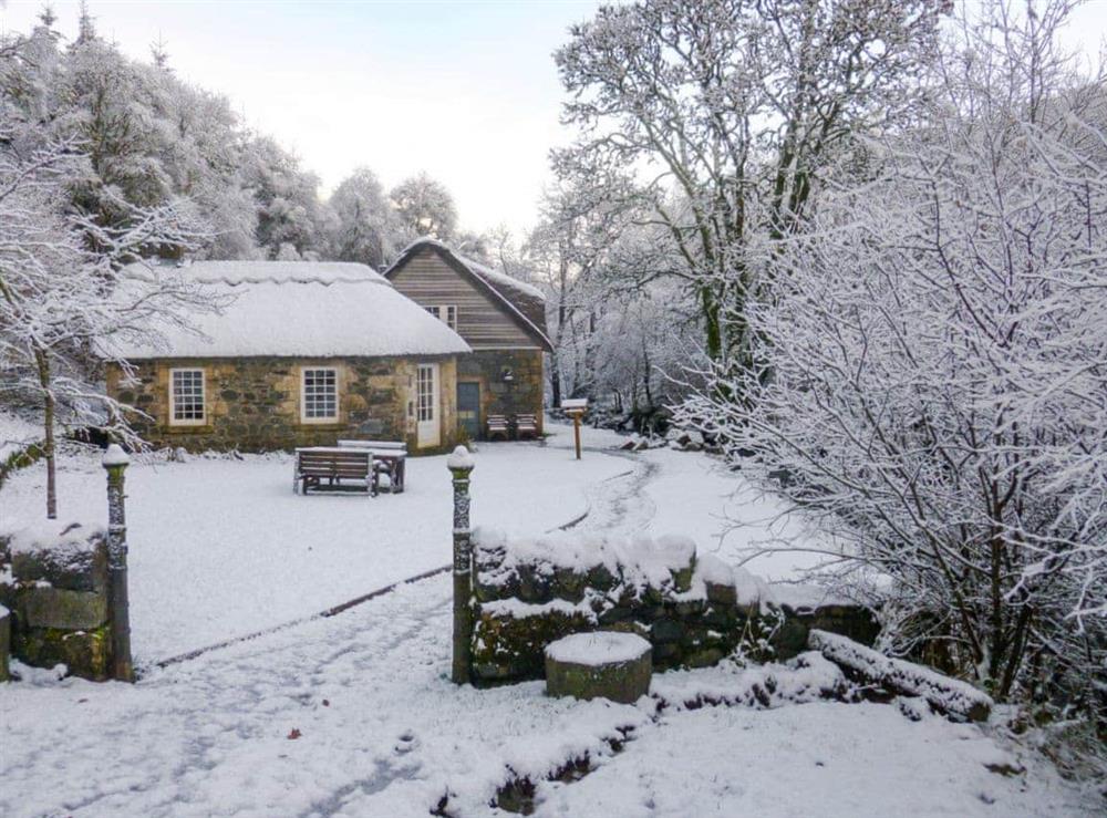 Garden and grounds in Winter at Forget Me Not in Dalmellington, Ayrshire., Great Britain
