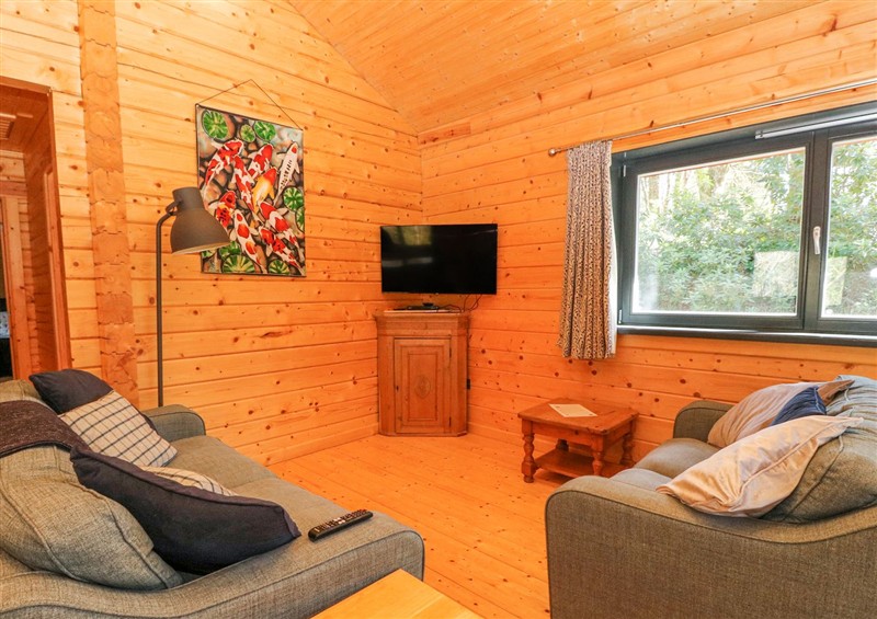This is Forsa Lodge