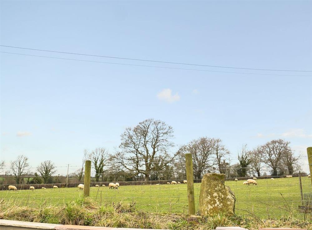 Lovely countryside surrounds this fantastic property at Fountain Hill in Eglwyswrw, near Cardigan, Pembrokeshire, Dyfed