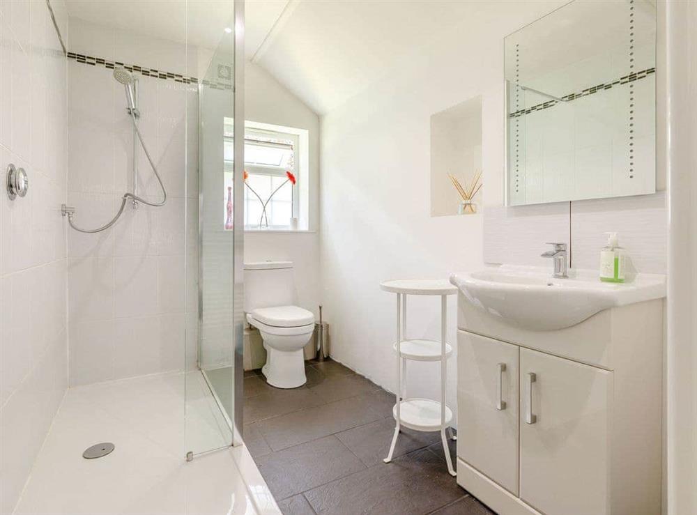 Shower room at Four Chimneys in Bratton Clovelly, Devon