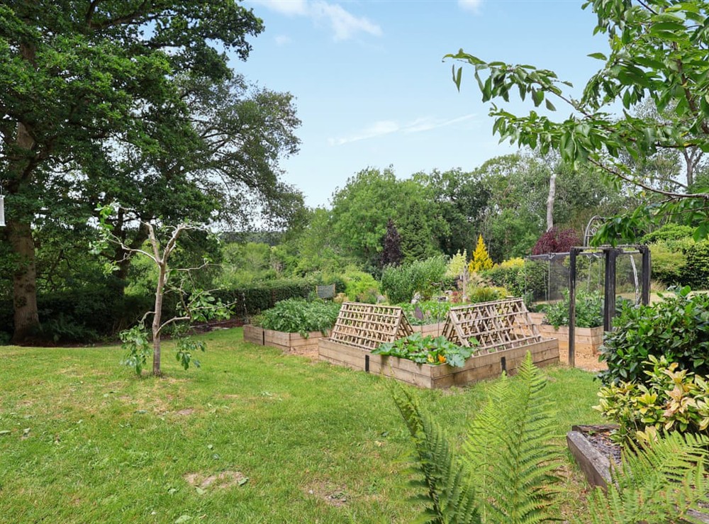 Garden (photo 3) at Four Oaks in All Berkshire, England