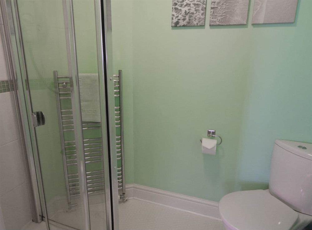 Bathroom (photo 3) at Four Seasons in Llandysul, Dyfed