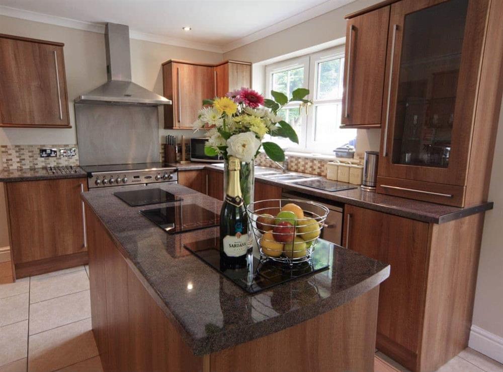 Kitchen at Four Seasons in Llandysul, Dyfed