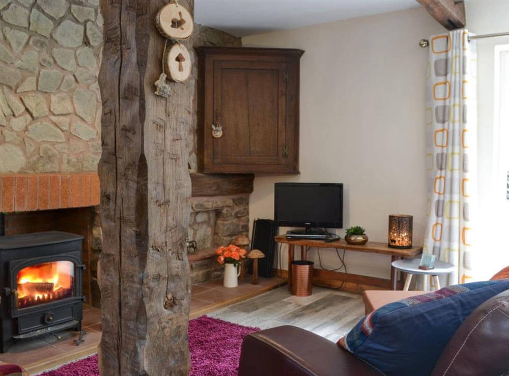 Cosy living room with wood beams & wood burner at Fourwinds in Farlow, near Ludlow, Shropshire