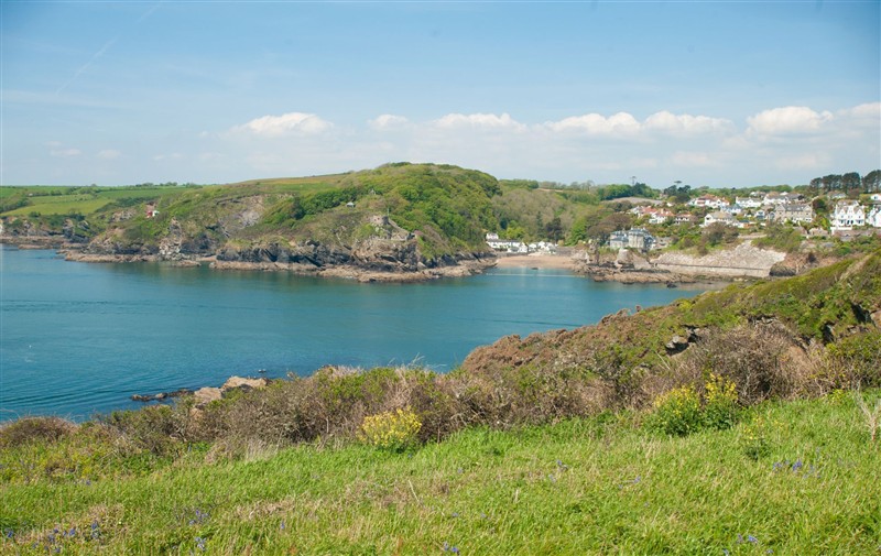 The setting