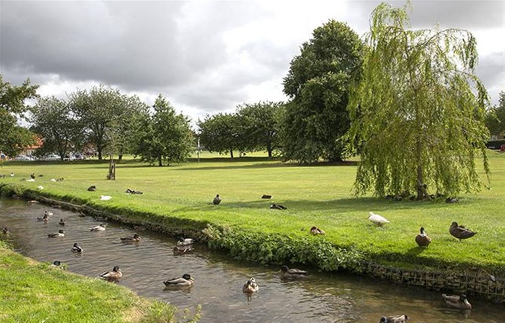 South Creakefts large village green with resident ducks at Fox Cottage, South Creake near Fakenham
