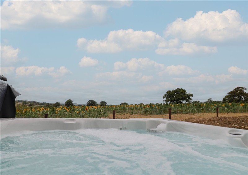 Enjoy the swimming pool at Fox Den, Pendomer near Yeovil