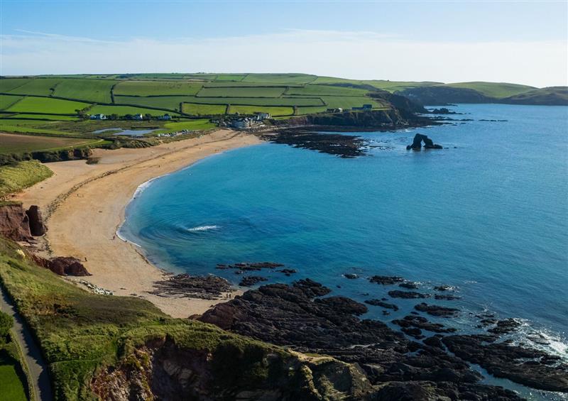 Rural landscape at Foxbear, Malborough