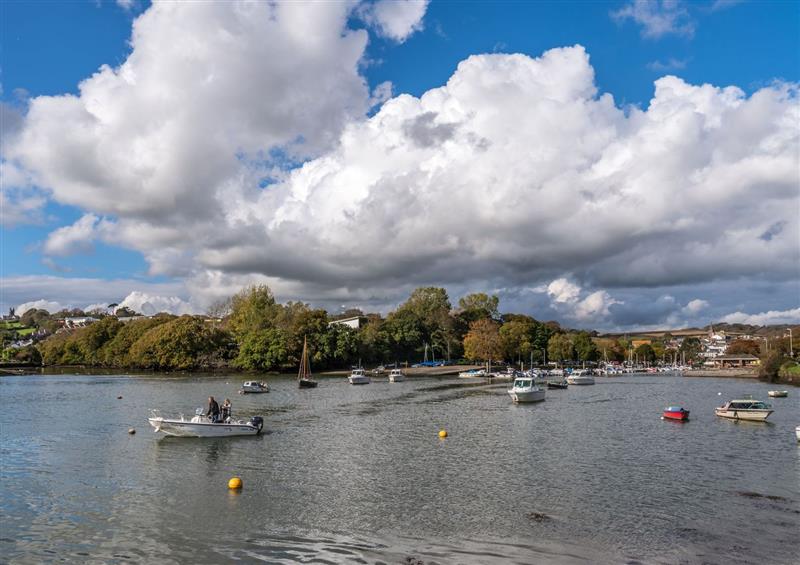 The area around Foxbear at Foxbear, Malborough