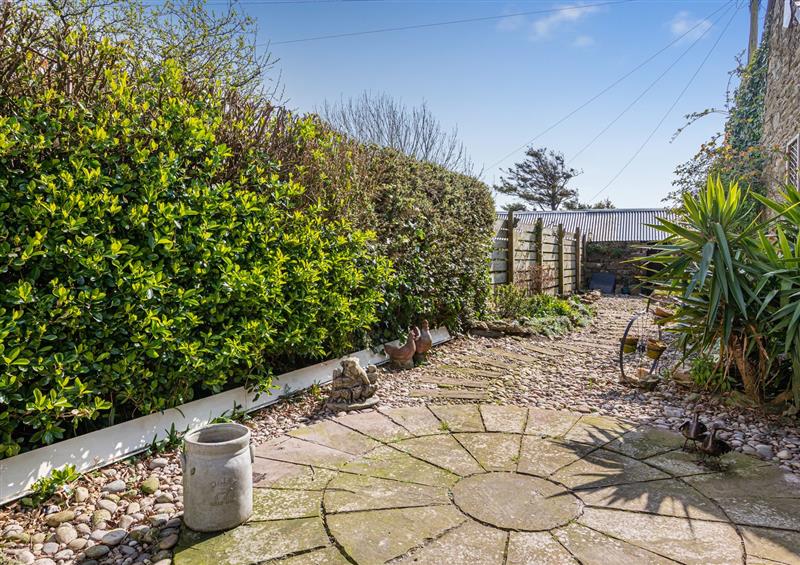 The garden at Foxbear, Malborough