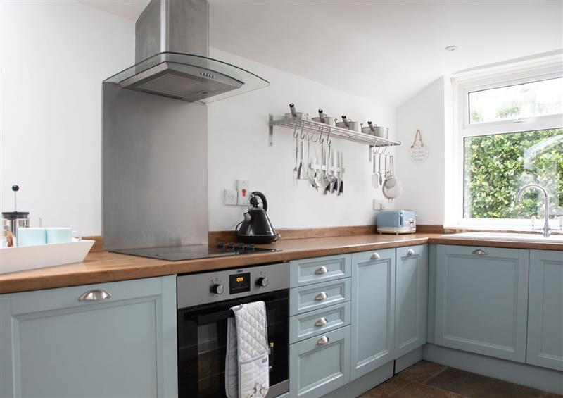 The kitchen at Foxbear, Malborough