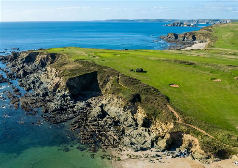 The setting around Foxbear at Foxbear, Malborough