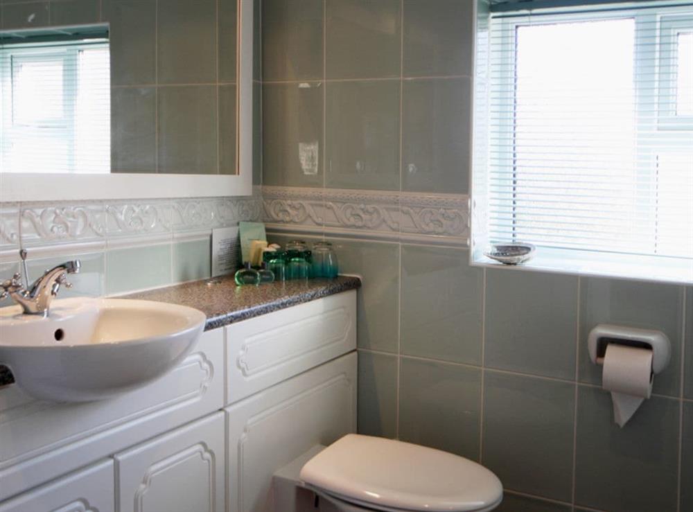 Bathroom at Foxes Reach in Chepstow, Gwent