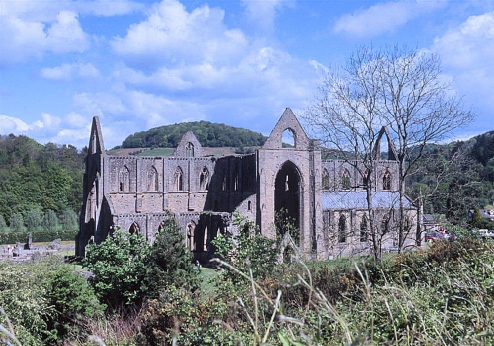 Tintern Abbey at Foxes Reach in Chepstow, Gwent
