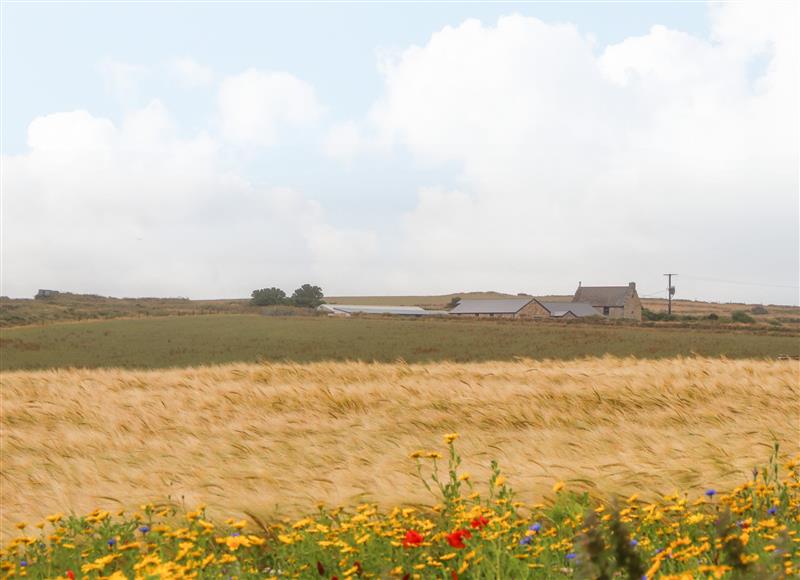 Rural landscape at Foxglove Barn, St Ives