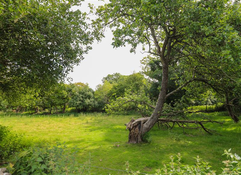 The setting around Foxglove Cottage