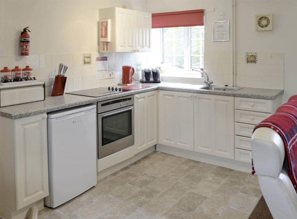 Well-equipped fitted kitchen area at Foxglove Cottage in Wootton Fitzpaine, near Charmouth, Dorset