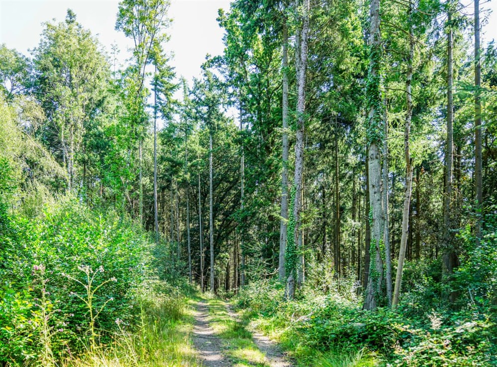 Surrounding area at Foxglove Lodge in Hittisleigh, Devon