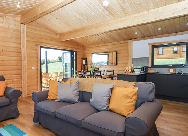 Enjoy the living room at Foxglove Lodge, Hittisleigh near Whiddon Down