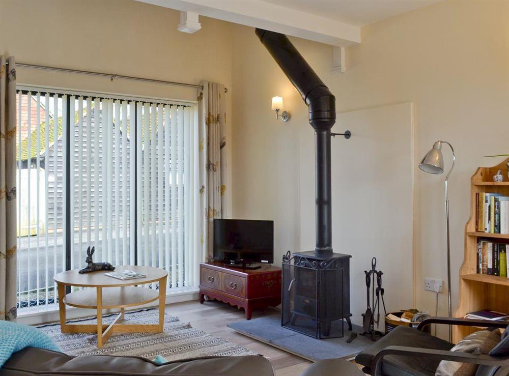 Charming lounge area with traditional log-burning stove at The Coop, 