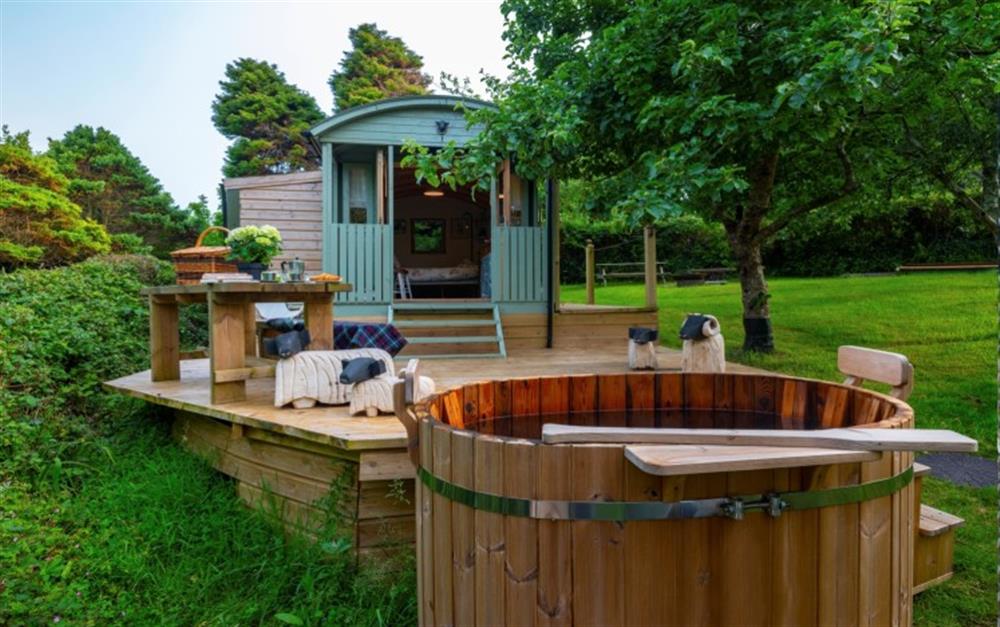 Foxy, the shepherd's hut in its own apple orchard with hot tub and fire pit. A perfect way to spend a summer's day. at Foxy Shepherd's Hut in Penzance