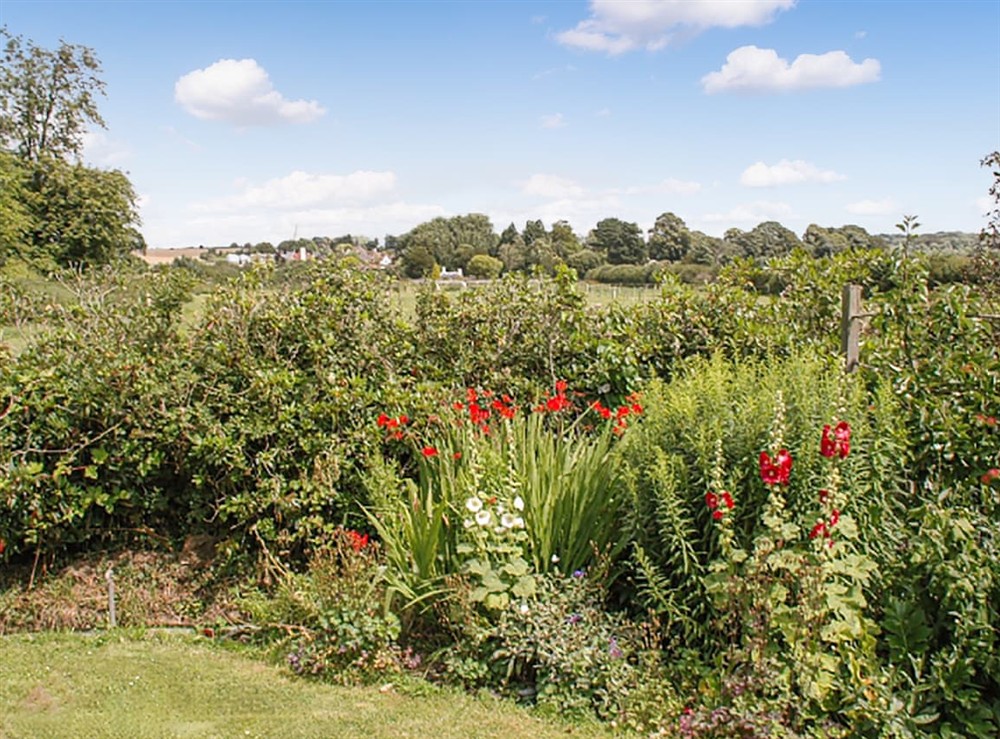 Garden and grounds (photo 3) at France Cottage in Worthing, West Sussex