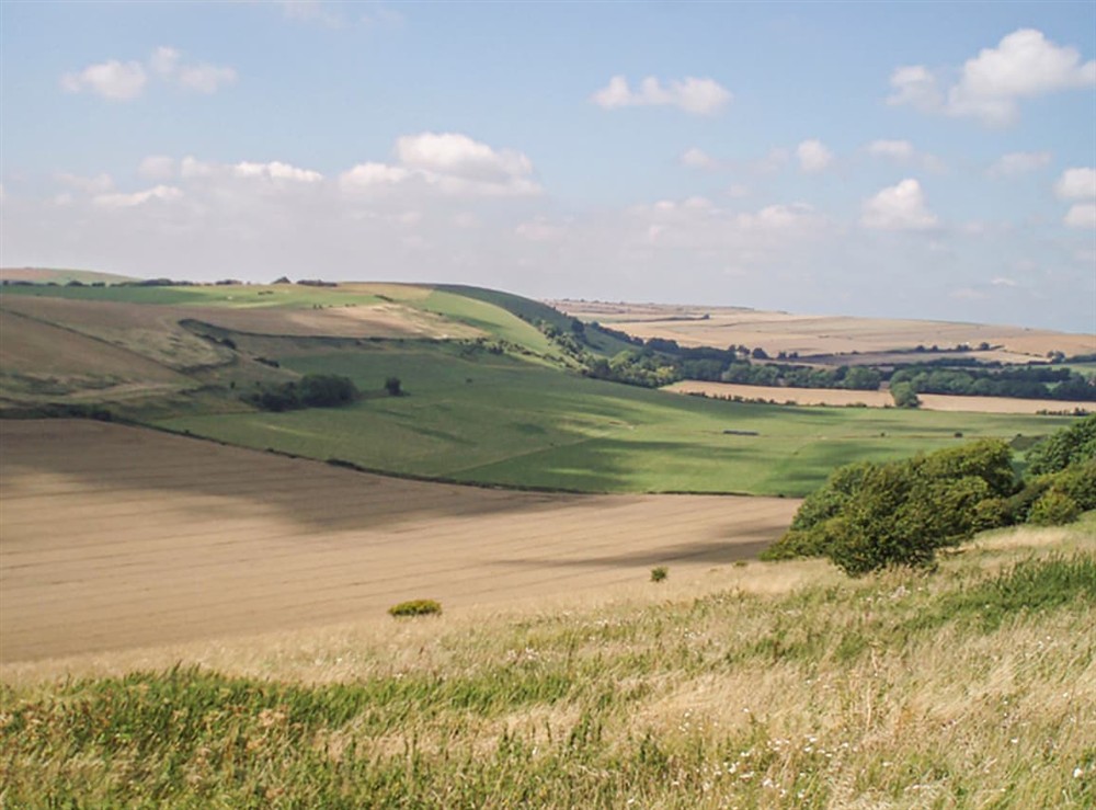 Outdoor area (photo 3) at France Cottage in Worthing, West Sussex