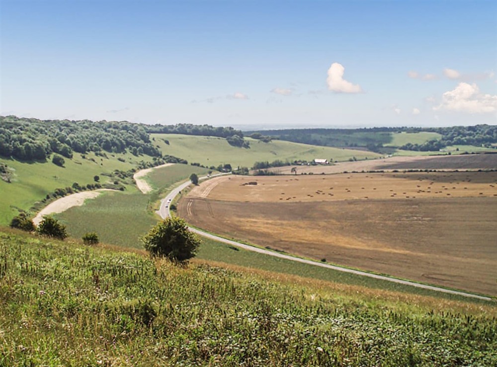 Outdoor area (photo 4) at France Cottage in Worthing, West Sussex