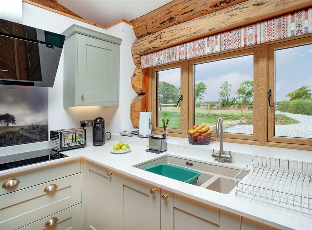 Kitchen area (photo 4) at Frankaborough Lodge in Beaworthy, Devon