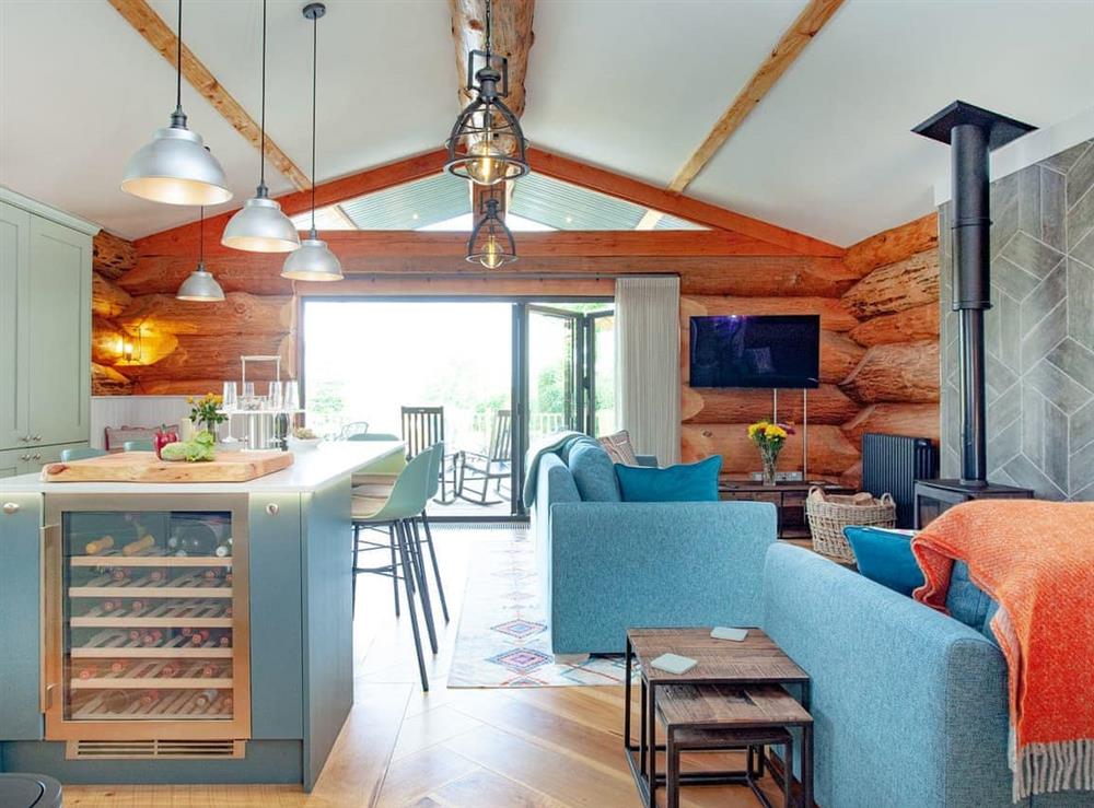 Open plan living space at Frankaborough Lodge in Beaworthy, Devon