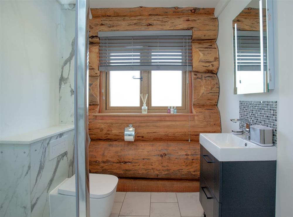 Shower room at Frankaborough Lodge in Beaworthy, Devon