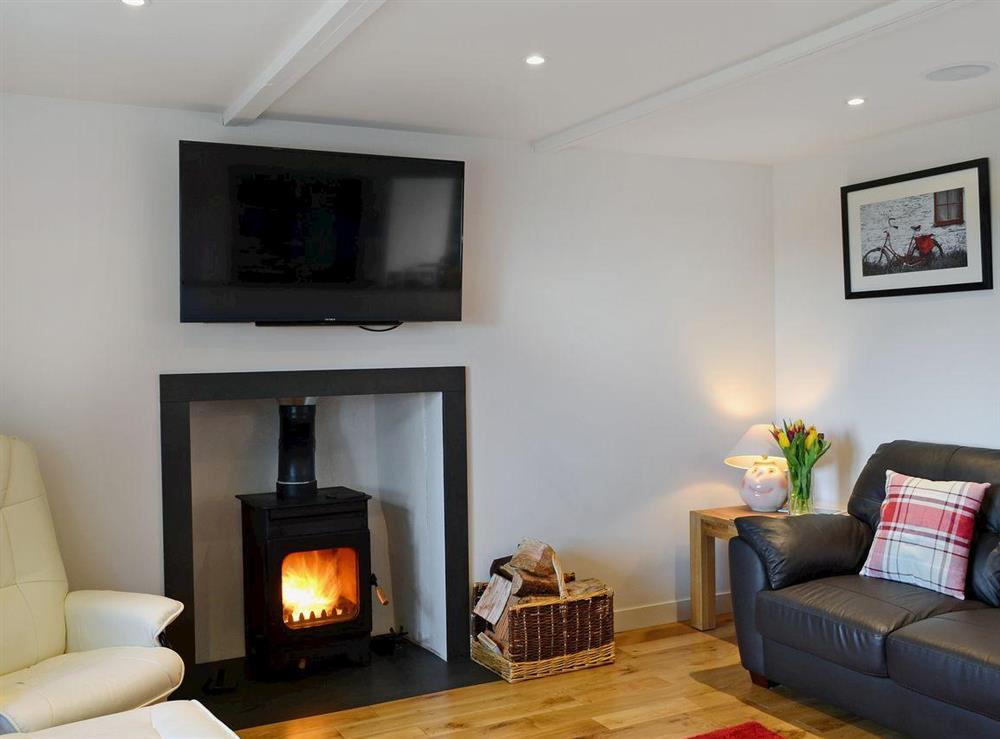 Living room area with cosy wood burner at Frank’s in Portree, Isle Of Skye