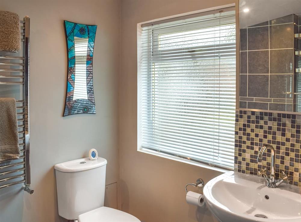 Bathroom (photo 2) at Fraser Terrace in Wanlockhead, near Dumfries, Lanarkshire