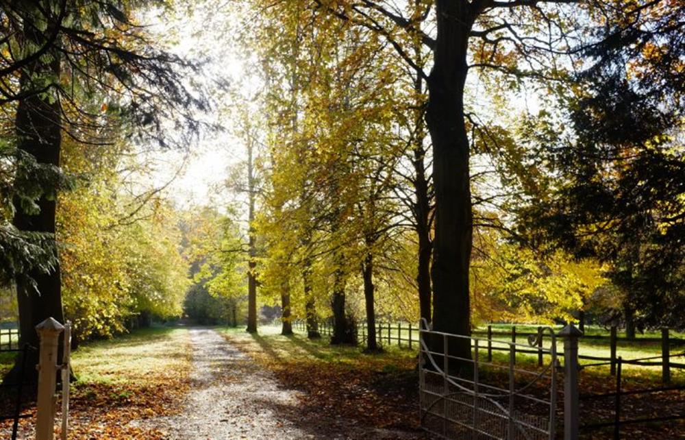 Explore the grounds of this beautiful country estate