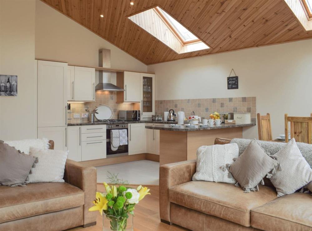 Spacious and bright open plan living space at Frith View in Glengoulandie, near Aberfeldy, Perthshire