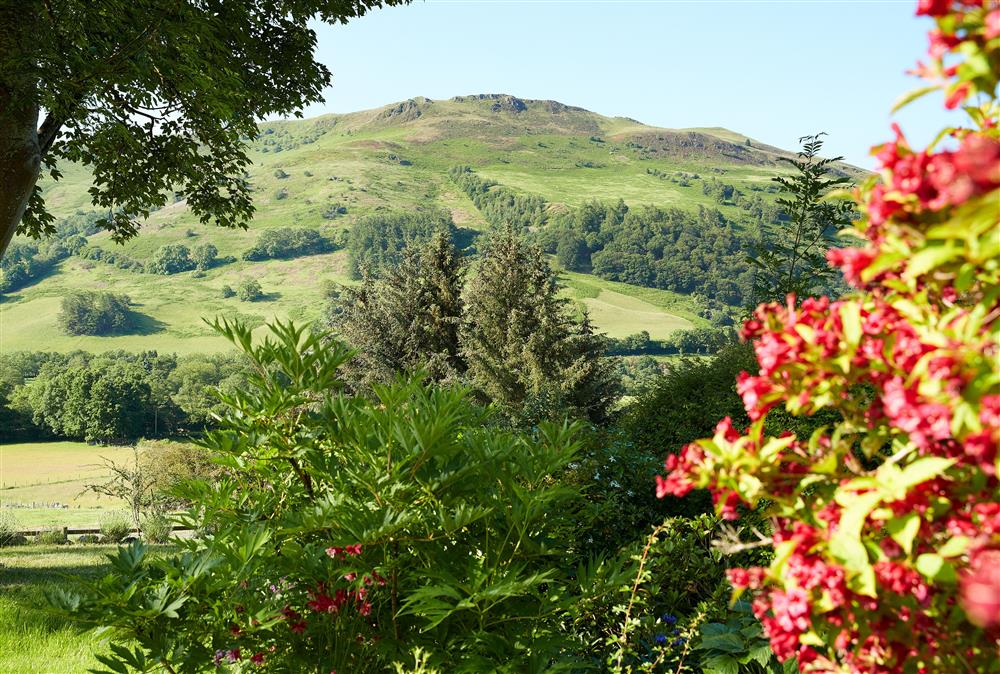 Enjoy the glorious views across the countryside of Tanat Valley  at Fron Cottage, Llangynog, Oswestry