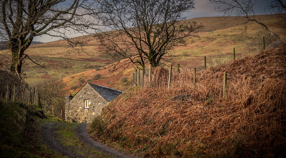 Fron Dirion, viewed from the lane to the cottage, Powys at Fron Dirion in Dinas Mawddwy, Powys