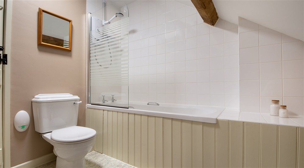 The bathroom with shower over bath at Fron Dirion in Dinas Mawddwy, Powys