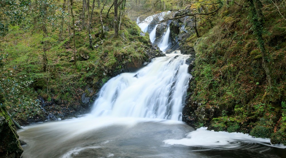 View of the waterfall Rhaedr Ddu (Black Falls in English) with white cascades over dark rocks, surrounded by green trees at Fron Dirion in Dinas Mawddwy, Powys