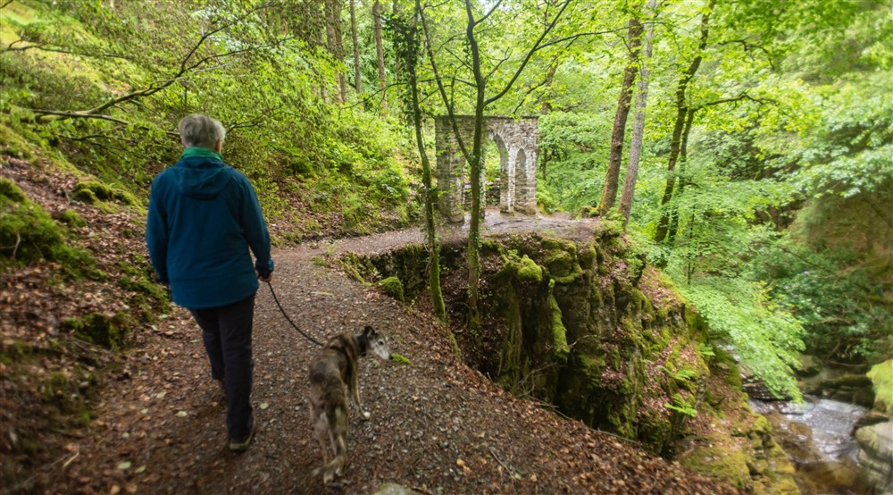 Visitor walking by the Gothic Arcade, Hafod Estate Ceredigion at Fron Dirion in Dinas Mawddwy, Powys