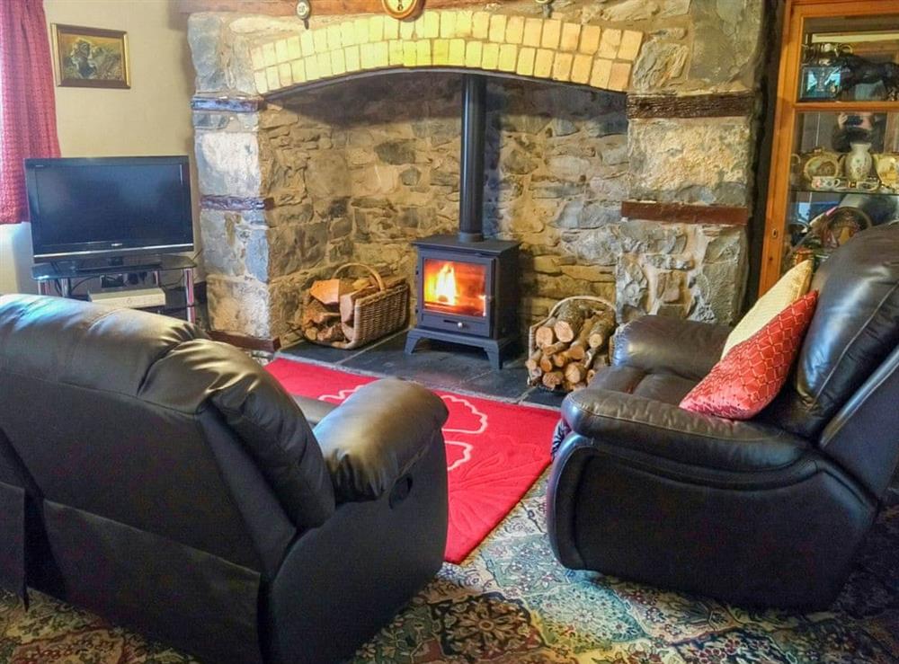 Living room at Fron Heulog Holiday Cottage in Llanwddyn, near Oswestry, Powys