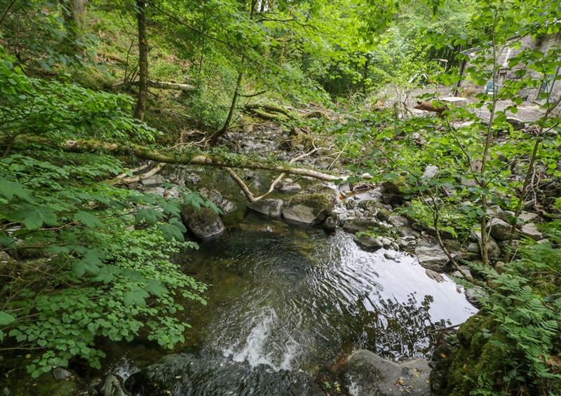 Rural landscape