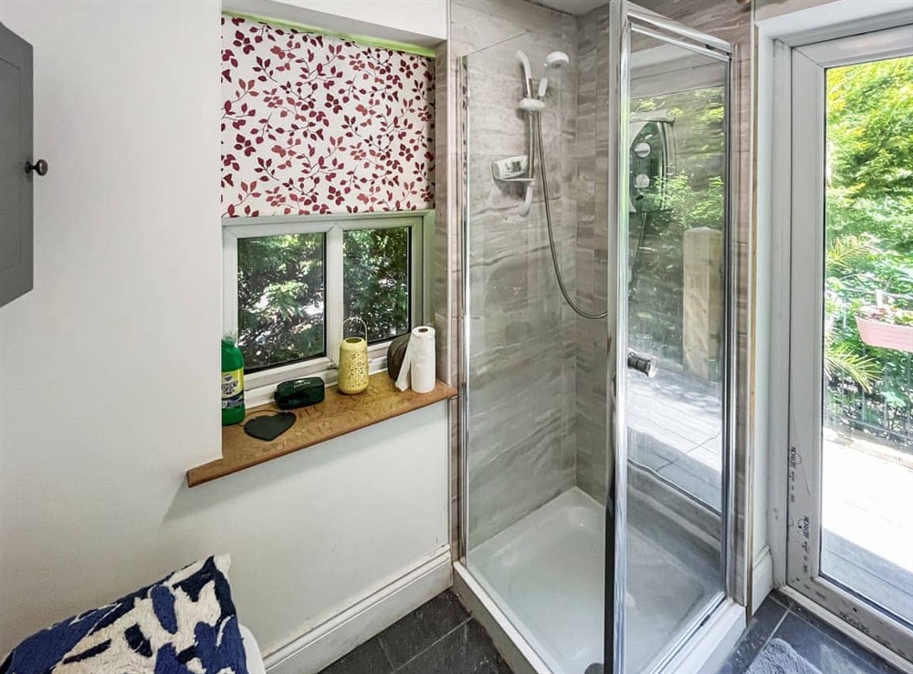 Bathroom at Fronisaf in Llanfairtalhaiarn, Clwyd