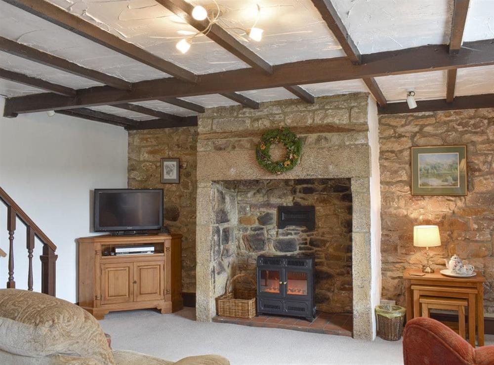Welcoming living area at Front Row Cottage, River View in Ovingham, near Prudhoe, Northumberland