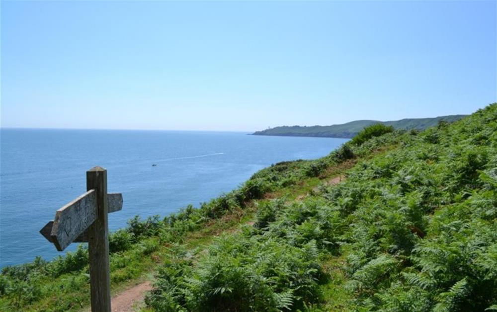 The nearby South West Coastal Path looking towards Start Point. at Fuchsia Cottage in Beeson