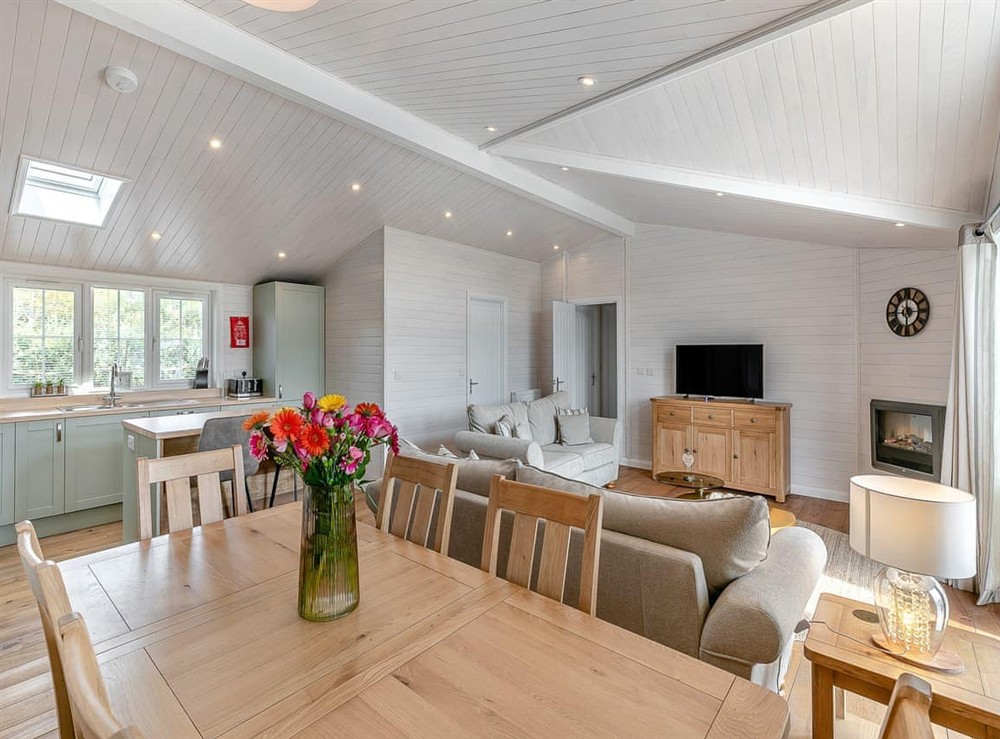 Open plan living space (photo 4) at Fuchsia Lodge in Willington, near Derby, Derbyshire