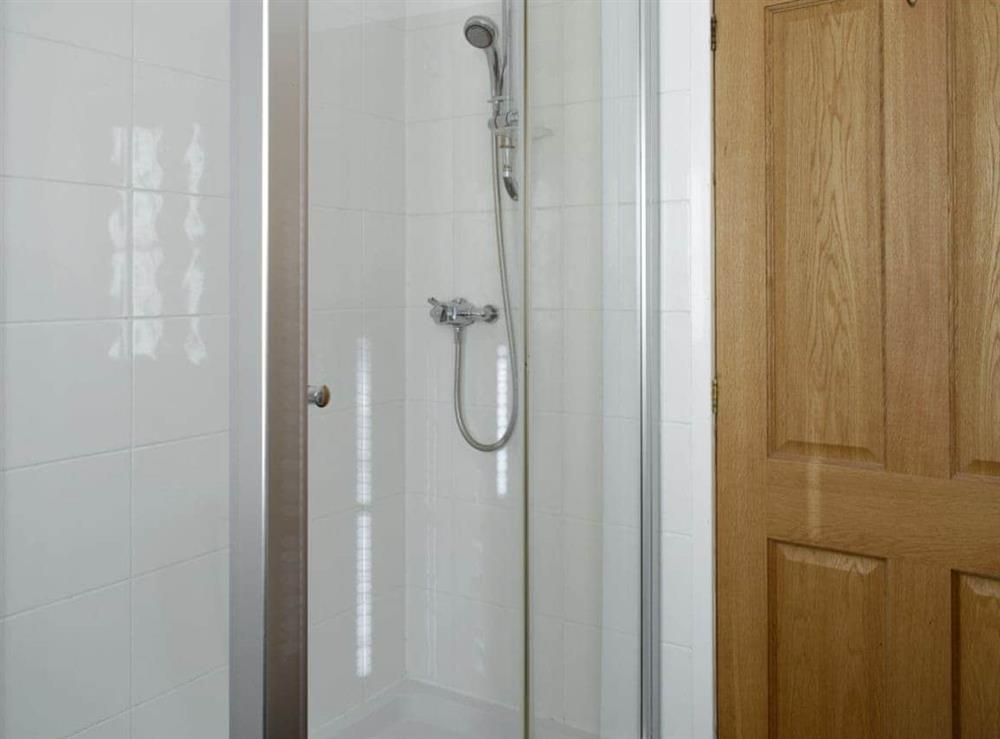 Shower room at Tan Y Dderwen, 